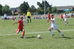 apncup2014_015.jpg