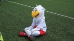 apncup2015_020.JPG